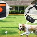 Electric Fence for Dogs: A Practical Guide to Safe Pet Containment