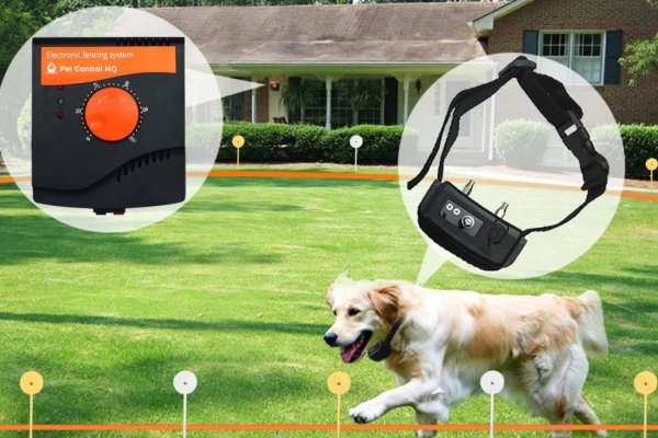 Electric Fence for Dogs: A Practical Guide to Safe Pet Containment