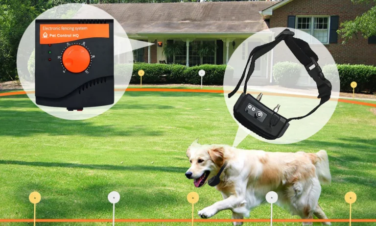 Electric Fence for Dogs: A Practical Guide to Safe Pet Containment